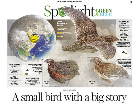 A small bird with big story