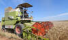 Tunisia gets offers in 27,000 ton corn tender, traders say
