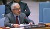 UAE says attack on Barakah nuclear plant a ‘red line’ as UN Security Council holds emergency session