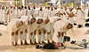 1.7m pilgrims performing Hajj this year, 2.04% more than last year