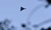 Russian drone hits Romania apartment building, Bucharest says