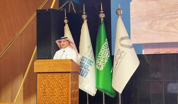 Saudi Arabia emerges as global leader in green minerals, says vice minister 