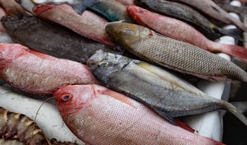Saudi Arabia’s fisheries, aquaculture production jumps 55.56% in 2023