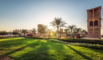 Saudi Arabia launches national sustainability committee