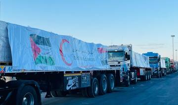 Egypt sends 400 shipments of aid to Gaza as ceasefire holds