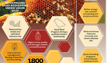 Technology drives transformation of Saudi beekeeping industry