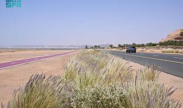 AlUla governorate is strengthening its position as a model for ecological restoration through its native plant nursery.