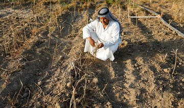 Extreme heat threatens global food systems, UN agencies warn