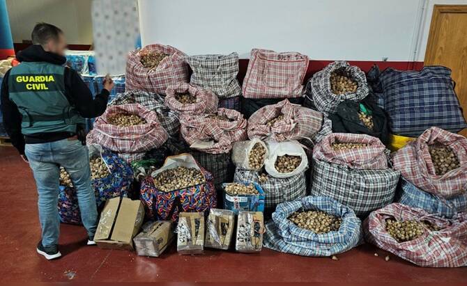 Spanish police arrest 3 men for shipping dried opium poppy by mail