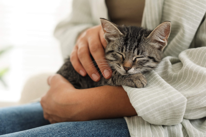 Does cat urine make clothes and floor impure?